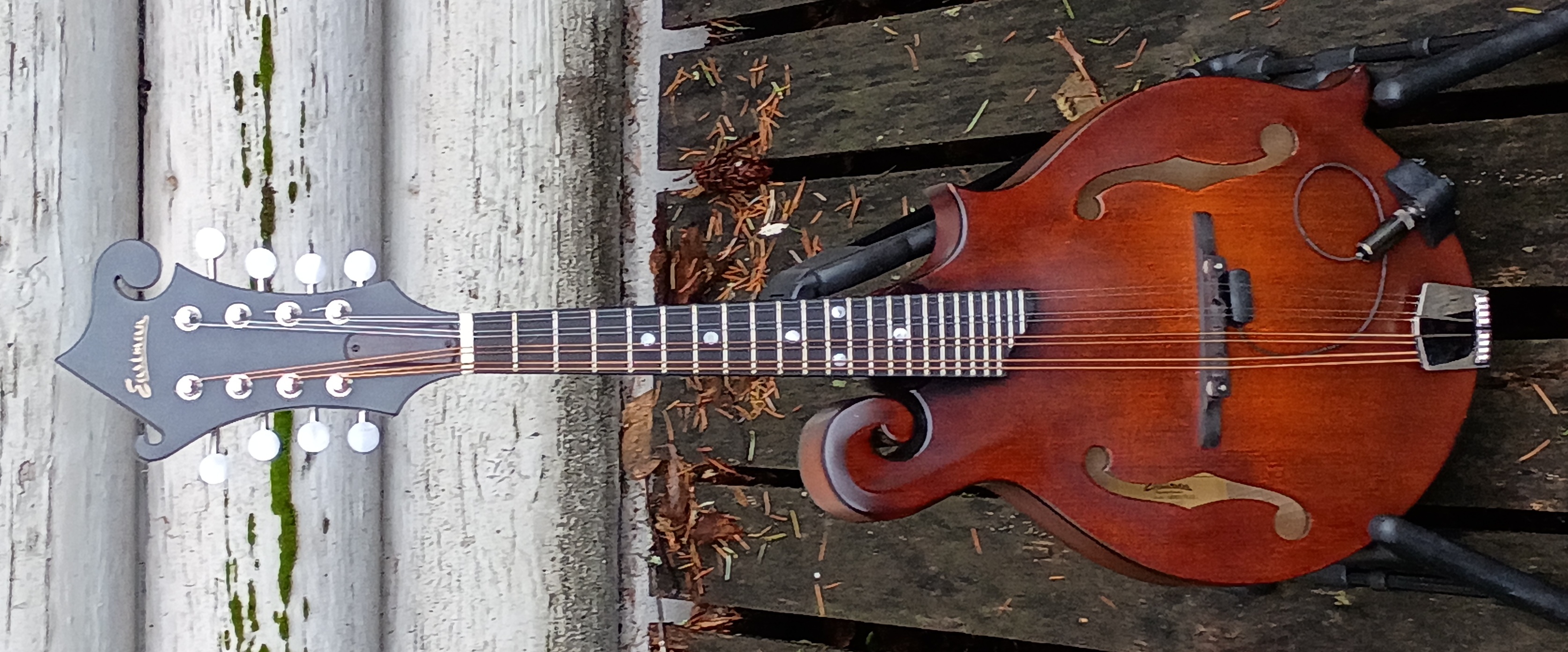 Eastman MD515