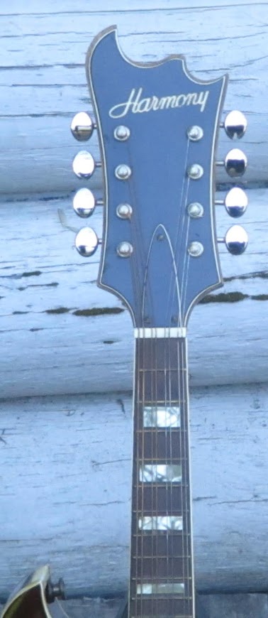 Harmony neck